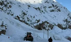 Hakkari-Van karayoluna çığ düştü!