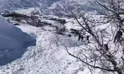 Ahıra çığ düştü: 44 küçükbaş can verdi!