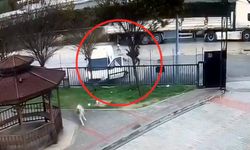 Berdel cinayeti: Teklifleri reddedilince vahşeti yaşattılar!