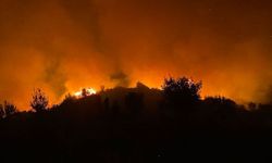 Antalya'da ormanlık alanda yangın çıktı