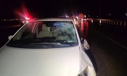 Genç avukat kaza kurbanı!