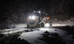 Muğla'da kar yağışı nedeniyle kapanan yollar ulaşıma açıldı