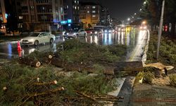 Denizli'de fırtına etkisi!