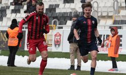 Altınordu, Erzincan'da umduğunu bulamadı