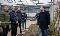 Bornova'dan 2026’ya 75 bin fidanla hazırlık