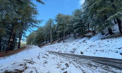 Aydın Paşa Yaylası’nda kar keyfi