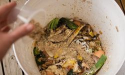 Büyükşehir’den çöpün yerinde dönüşümü için hamle: Her eve Bokaşi kovası!