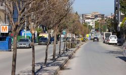 Buca’nın refüjleri yenileniyor