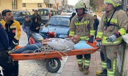 Güvercin aşkı canından ediyordu!