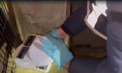 Kuş kafesinden 'zula' çıktı!