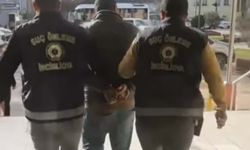 Barınakta 'zehir' zulası: 28 bin hap çıktı!