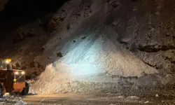 Van-Bitlis kara yolu çığ düşmesi sonucu ulaşıma kapandı