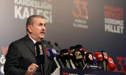Destici: Biz sadece parti değil, milletiz