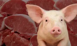 Tam yarım ton... Babasının hayrında bütün kente domuz eti yedirdi!