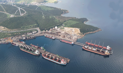 Habaş'ın planı askıda... Orman gitti, liman geldi!