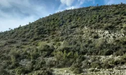 Metropolis'i kurtaran karar... Belçikalı şirkete üçüncü veto!