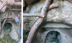 Tarihe koruma kalkanı!