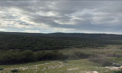 Bakanlık'tan dönmüştü... Çimento devinden ocak ısrarı!