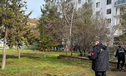 Millet Bahçesi'nde bir kişi ölü bulundu