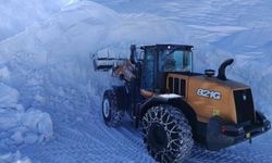 Kar esareti: 5 ilde 147 yerleşim yerine ulaşım sağlanamıyor