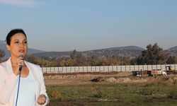 Efes'teki çalışmaya Sengel'den tepki: Tarihin kalbine beton projesi!