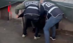 Firariyi kümeste öksürük ele verdi