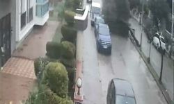 Fırtınada kökünden sökülen ağaç devrildi!