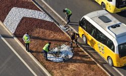 Acarlar–Şehir Hastanesi yolunda peyzaj düzenlemesi