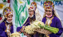 Mis kokulu festivale 280 bini aşkın ziyaretçi!