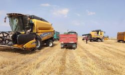 Tarımsal destek ödemeleri hesaplarda