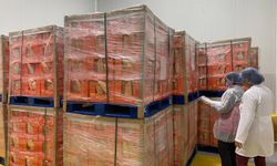 İhraç gıda ürünlerine denetim