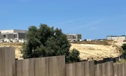 Tikveşli’nin kurucusuna Bakanlık’tan şok: Turizm yatırım belgesi iptal!