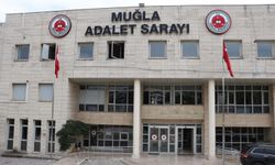 Kendini polis olarak tanıttı, 2 milyon lira dolandırdı: Şüpheli tutuklandı!