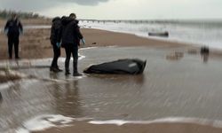 Çocuk cesedi sahile vurdu... İzmir'de korkunç olay!