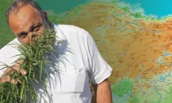 21 ilde kenevir üretimine onay çıktı