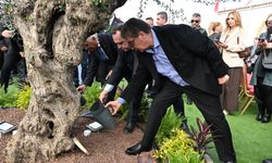 Zeyrek ve Durbay'ın ismi Kıbrıs'ta yaşatılacak!