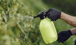 Gübre ve ihracat işindeydiler… İflas bayrağı çektiler!