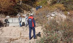 Odun toplamak için gitti cesedi bulundu... Yaşlı adamın acı sonu!