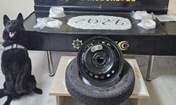 Stepnede zehir sevkiyatı!