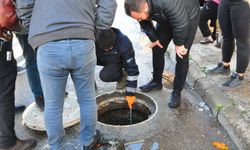 'Bebek cesedi gördüm' ihbarı polisi harekete geçirdi