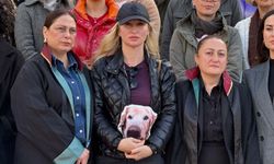 Otomobilin çarptığı köpek Çinko'nun sahibi: Emsal karar bekliyoruz