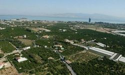 TMMOB'dan İnciraltı için bakanlığa çağrı: Kiralanıp tarıma açılmalı!