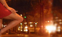 İzmir yolunda fuhuş baskını: Ebegümeci topluyorduk!