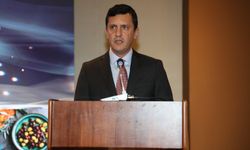 Zeytinyağ ihracatçıları 2025 batışını anlattı: Yüzde 50 düşüş!