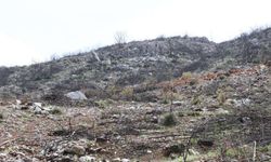 Yanan ormanın sınırlarında… Sabancı’nın RES’i yeniden masada!