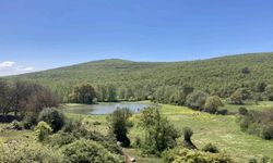 Genpa’nın sahibinin RES projesi askıda