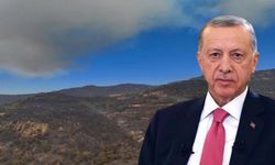 Cumhurbaşkanının orman kararı yargıda... Davada kritik tarih belli oldu!