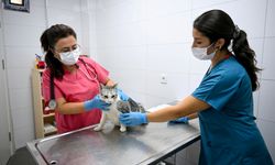 Bornova'da can dostlara yardım eli!