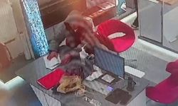 İş başvurusu için geldi, müdürün telefonunu çaldı