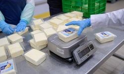 500 gramlık kaşar 165 TL... İzmir’de uygun fiyatlı kaşar raflarda!